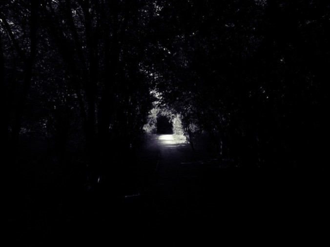 Dark-Path-1024x768
